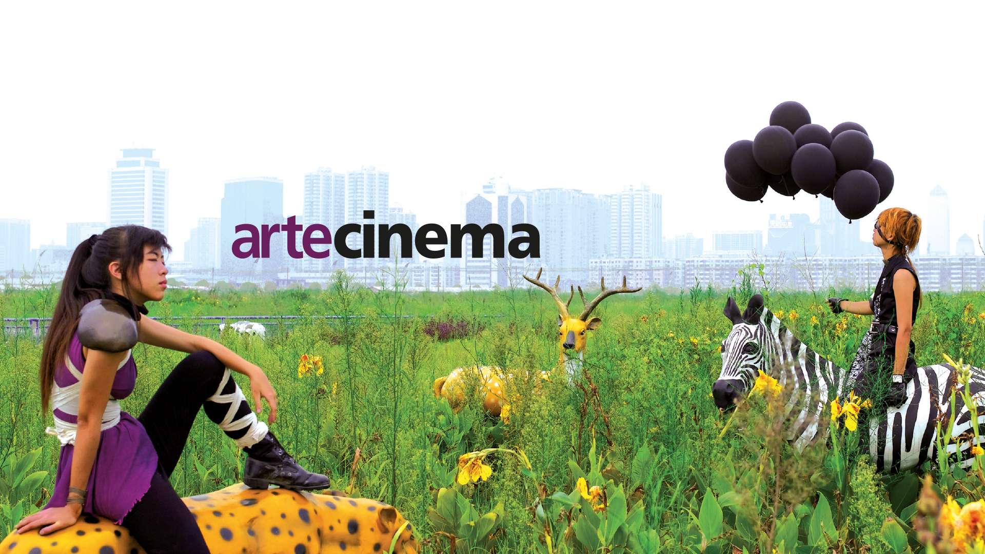 Banner Artecinema - Agenzia pubblicitaria Napoli - Libellula Grafica Lab