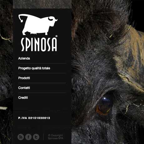 Realizzazione sito web Spinosa Mozzarella - Web agency Napoli - Libellula Grafica Lab