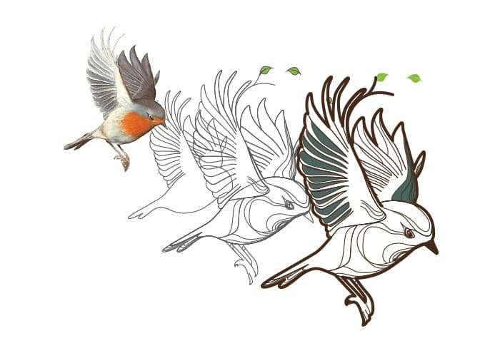 la-pamapa-relais-illustrazione-a mano-libellula-lab-napoli