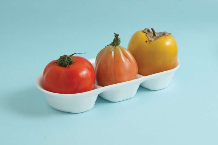 Contenitore ortaggi Mautone Packaging