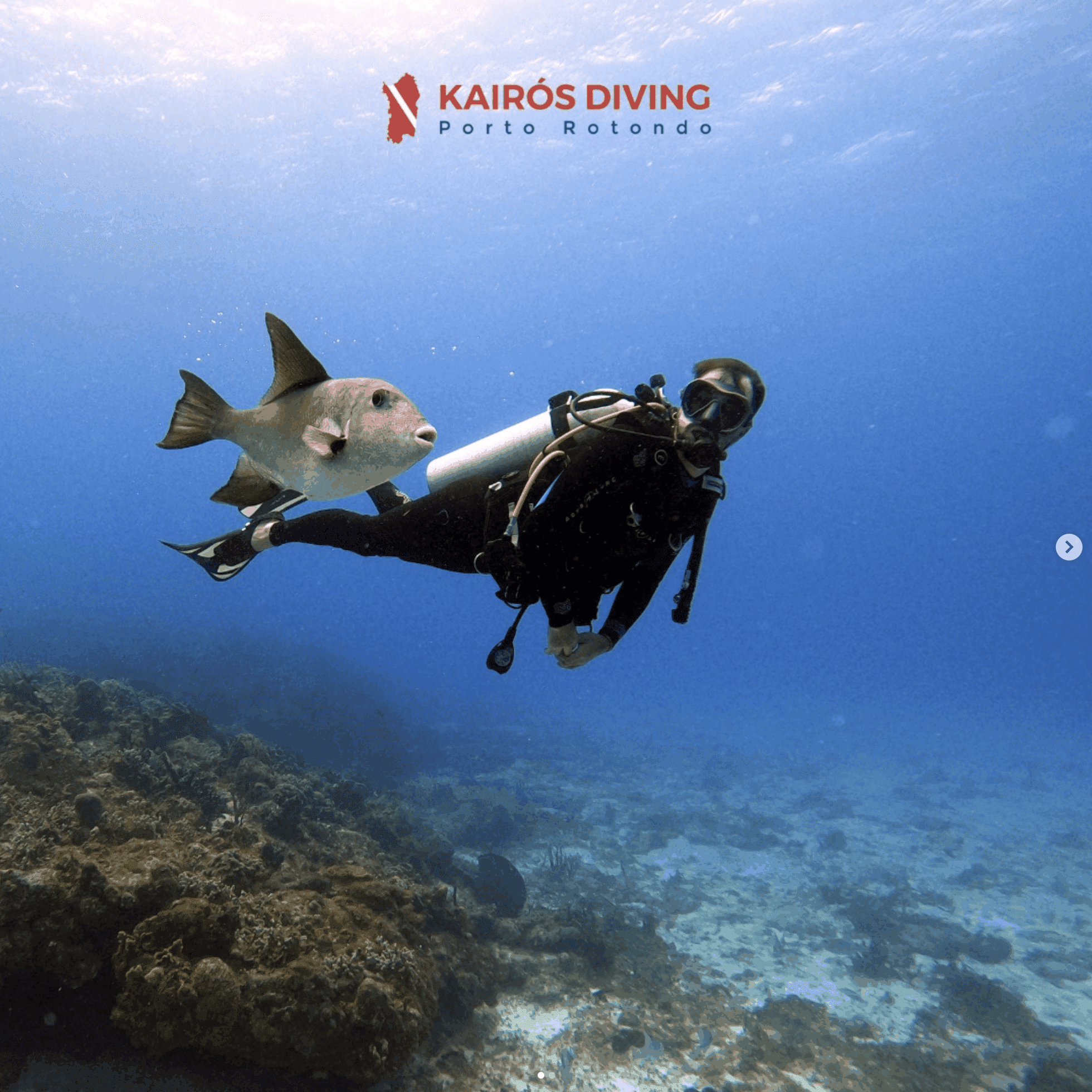 WEB AGENCY DIVING IMMERSIONI