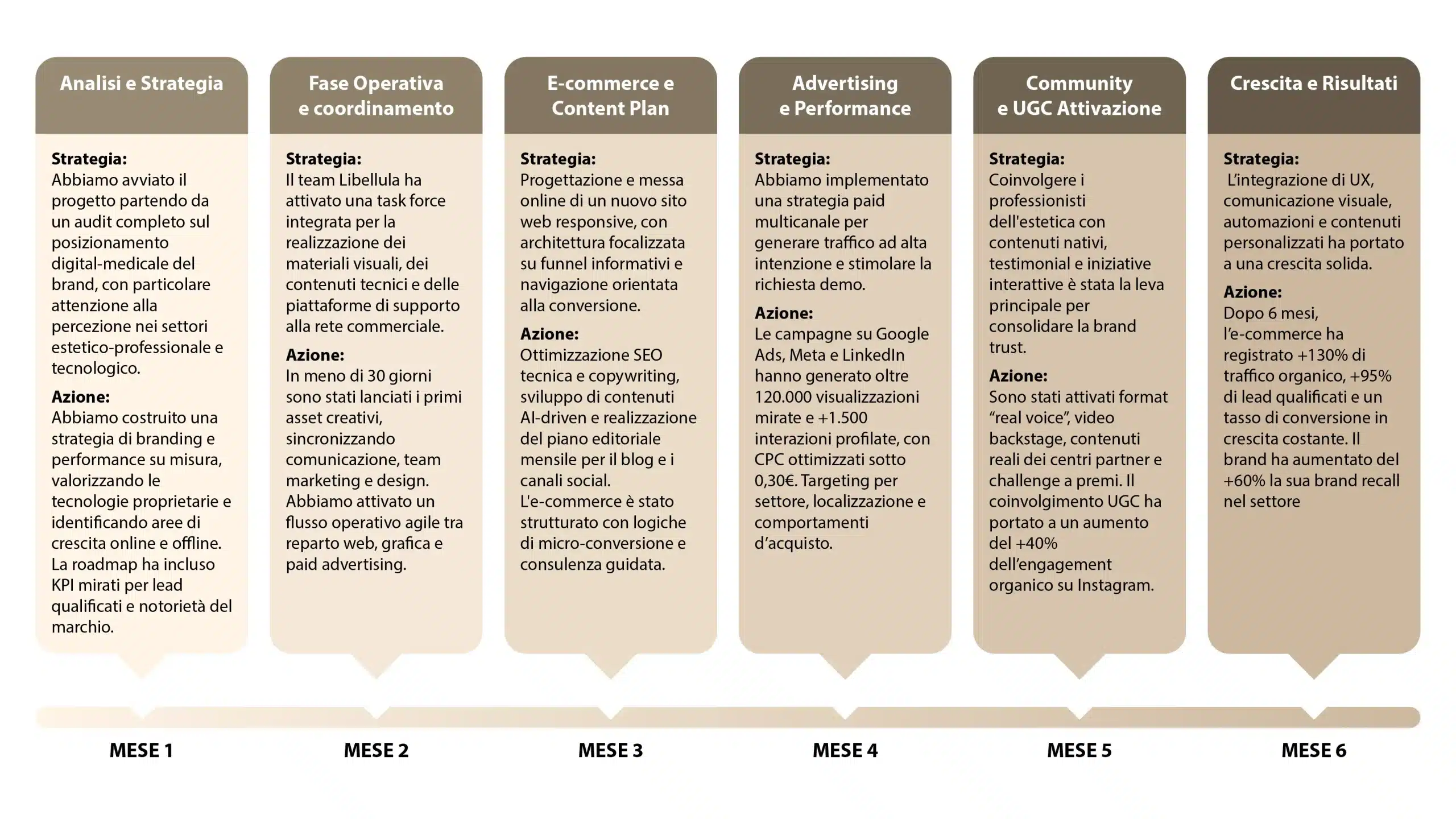 brera-marketing-strategy-integrata-portfolio-libellula-grafica